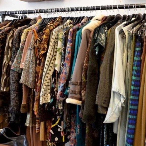 Meet your Posher, Ella. - Picture 11 of 16